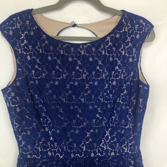 Enfocus Studio Dress Open Back Royal Blue Lace Fitted Waist Sleeveless Lined - Picture 6 of 9